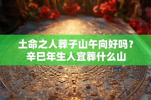 土命之人葬子山午向好吗？辛巳年生人宜葬什么山