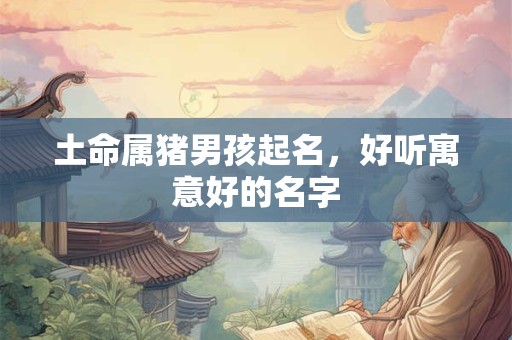 土命属猪男孩起名，好听寓意好的名字