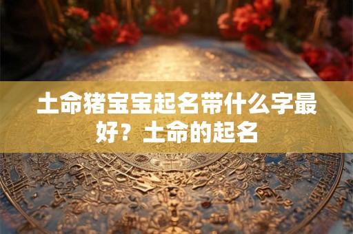 土命猪宝宝起名带什么字最好？土命的起名