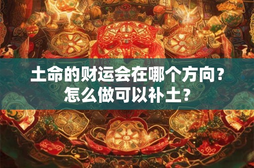 土命的财运会在哪个方向？怎么做可以补土？