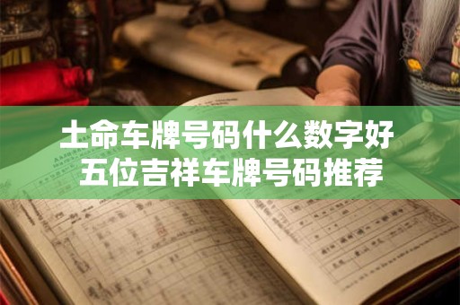 土命车牌号码什么数字好 五位吉祥车牌号码推荐