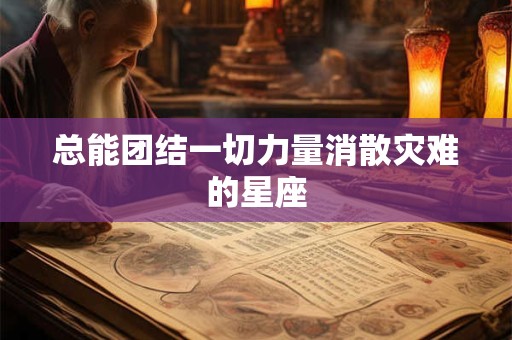 总能团结一切力量消散灾难的星座