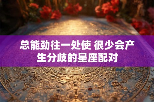 总能劲往一处使 很少会产生分歧的星座配对