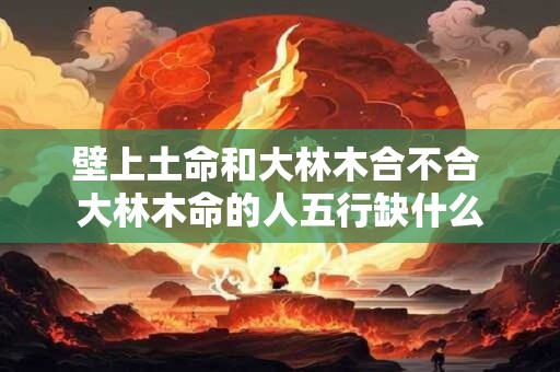 壁上土命和大林木合不合 大林木命的人五行缺什么