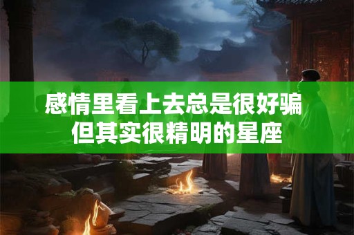 感情里看上去总是很好骗 但其实很精明的星座