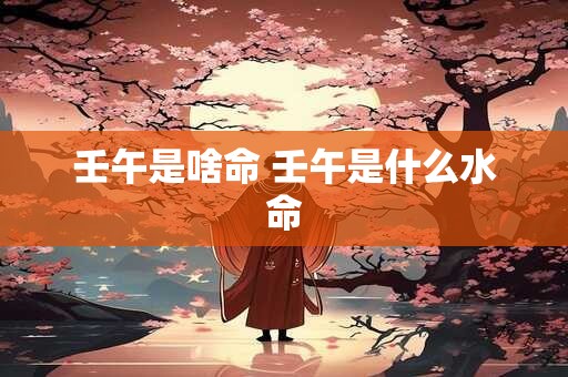 壬午是啥命 壬午是什么水命