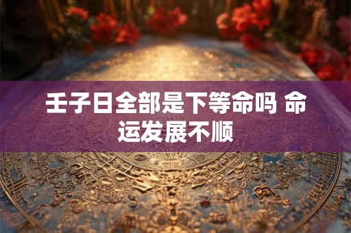 壬子日全部是下等命吗 命运发展不顺