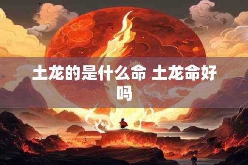 土龙的是什么命 土龙命好吗