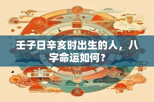 壬子日辛亥时出生的人，八字命运如何？