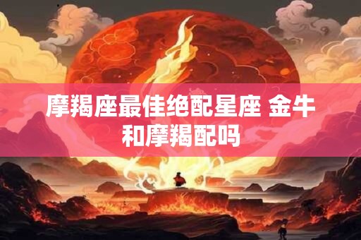 摩羯座最佳绝配星座 金牛和摩羯配吗