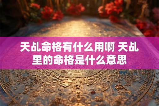 天乩命格有什么用啊 天乩里的命格是什么意思
