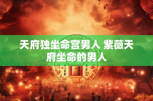 天府独坐命宫男人 紫薇天府坐命的男人