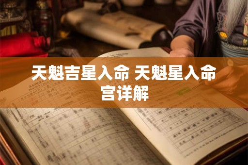 天魁吉星入命 天魁星入命宫详解