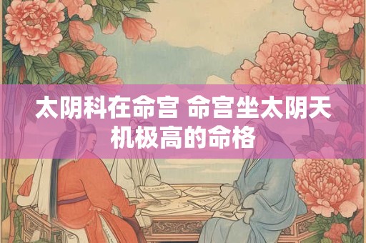 详细阅读:太阴科在命宫 命宫坐太阴天机极高的命格 太阴科在命宫 命宫坐太阴天机极高的命格