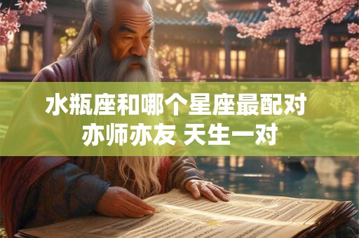 水瓶座和哪个星座最配对 亦师亦友 天生一对