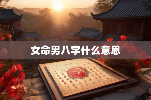 女命男八字什么意思