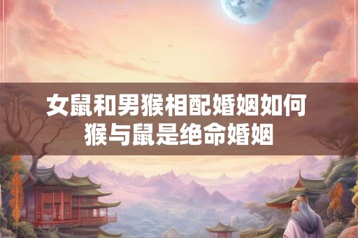 女鼠和男猴相配婚姻如何 猴与鼠是绝命婚姻