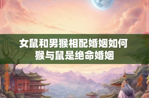 女鼠和男猴相配婚姻如何 猴与鼠是绝命婚姻