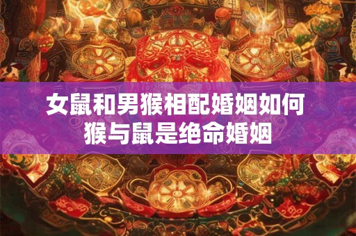 女鼠和男猴相配婚姻如何 猴与鼠是绝命婚姻