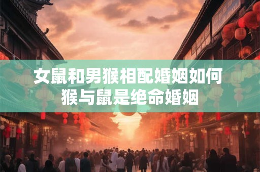 女鼠和男猴相配婚姻如何 猴与鼠是绝命婚姻