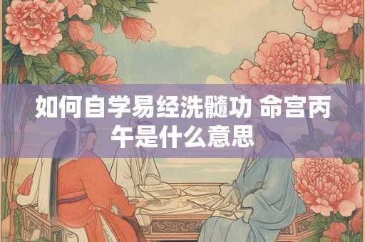 如何自学易经洗髓功 命宫丙午是什么意思