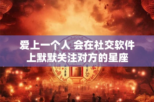 爱上一个人 会在社交软件上默默关注对方的星座