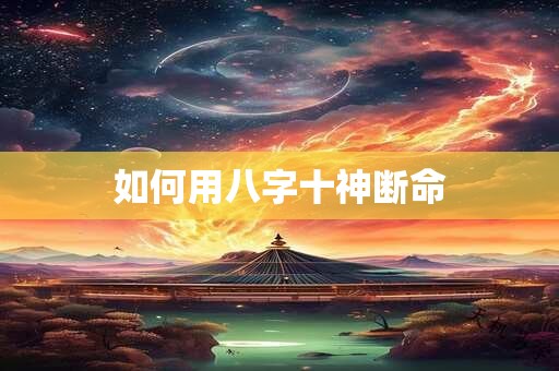 如何用八字十神断命