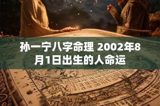 孙一宁八字命理 2002年8月1日出生的人命运