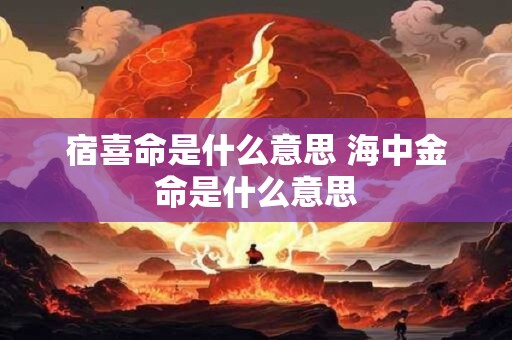 宿喜命是什么意思 海中金命是什么意思