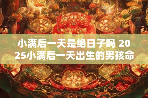 小满后一天是绝日子吗 2025小满后一天出生的男孩命运