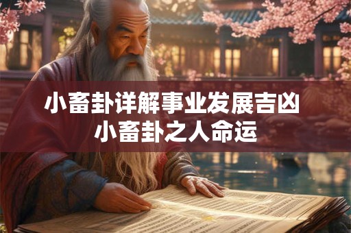 小畜卦详解事业发展吉凶 小畜卦之人命运