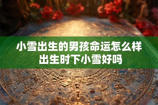 小雪出生的男孩命运怎么样 出生时下小雪好吗