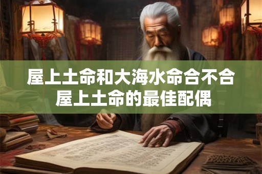 屋上土命和大海水命合不合 屋上土命的最佳配偶