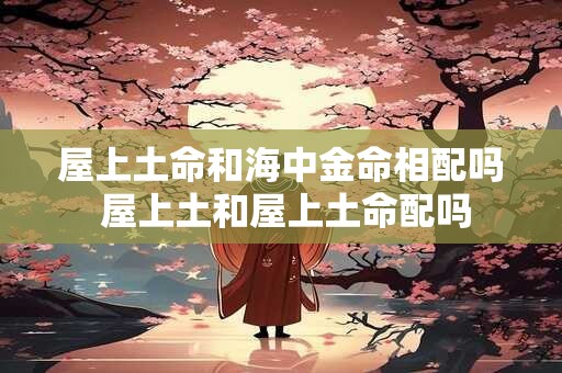 屋上土命和海中金命相配吗 屋上土和屋上土命配吗