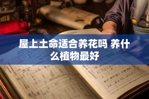 屋上土命适合养花吗 养什么植物最好