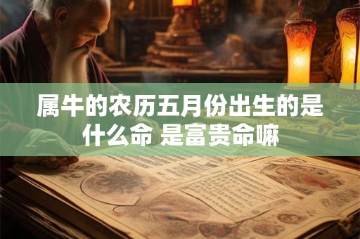 属牛的农历五月份出生的是什么命 是富贵命嘛