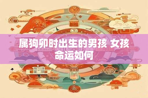 属狗卯时出生的男孩 女孩命运如何