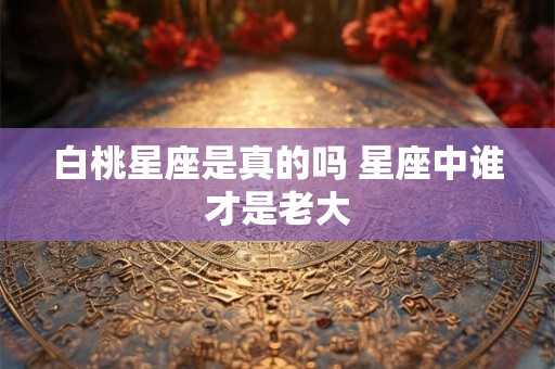 白桃星座是真的吗 星座中谁才是老大