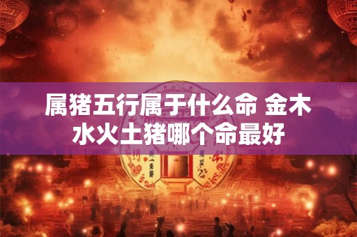 属猪五行属于什么命 金木水火土猪哪个命最好
