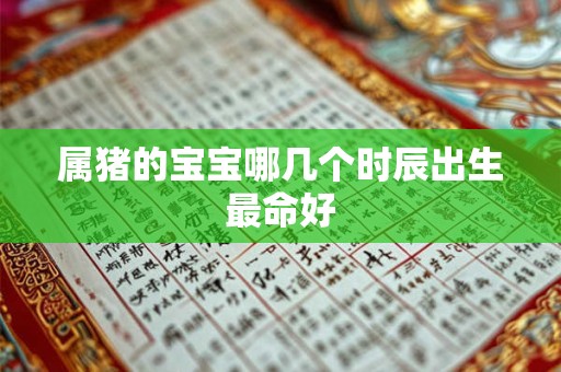属猪的宝宝哪几个时辰出生最命好