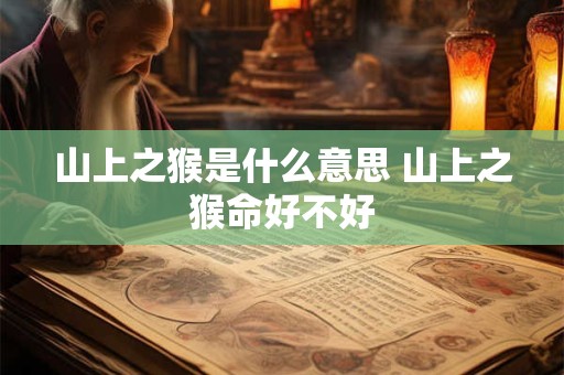 山上之猴是什么意思 山上之猴命好不好