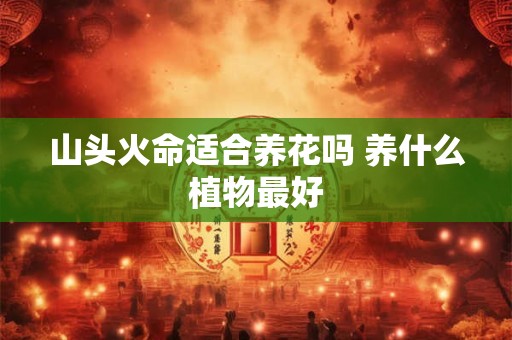 山头火命适合养花吗 养什么植物最好