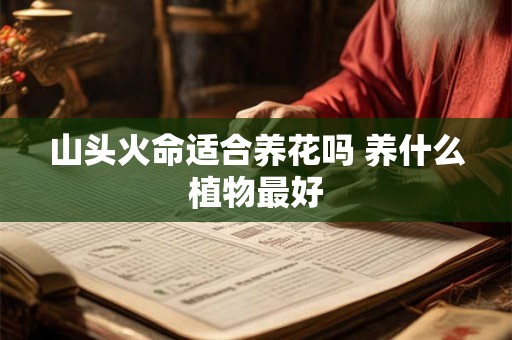 山头火命适合养花吗 养什么植物最好