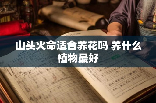 山头火命适合养花吗 养什么植物最好