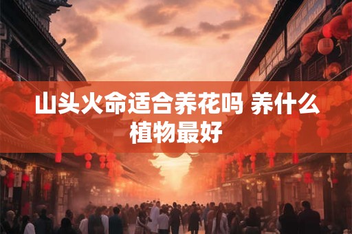 山头火命适合养花吗 养什么植物最好