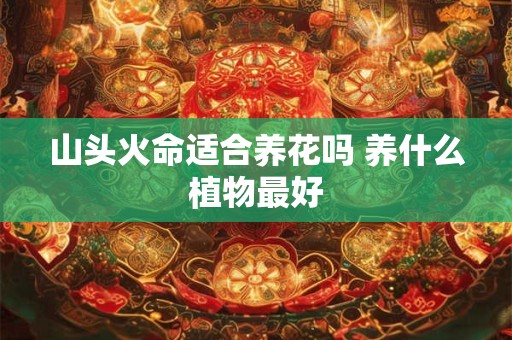 山头火命适合养花吗 养什么植物最好