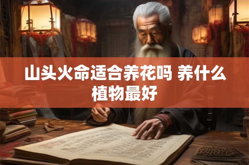 山头火命适合养花吗 养什么植物最好
