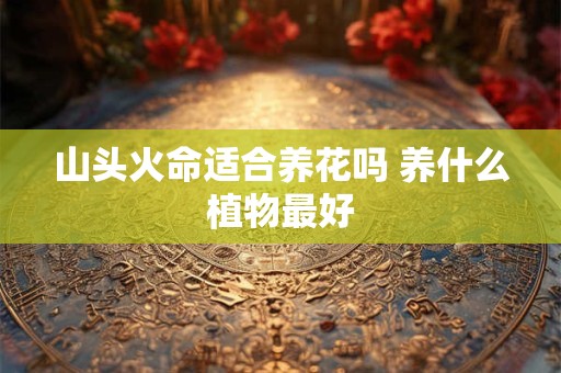 山头火命适合养花吗 养什么植物最好