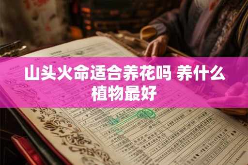 山头火命适合养花吗 养什么植物最好
