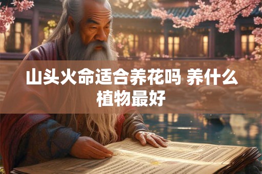 山头火命适合养花吗 养什么植物最好